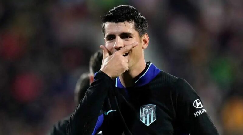 morata 54321 19