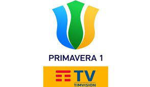 primavera logo